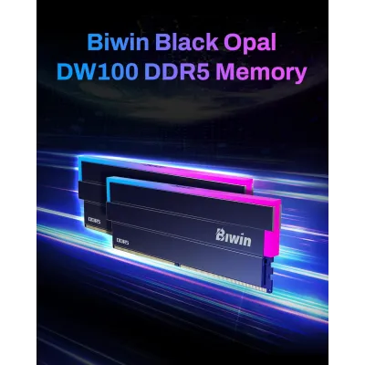 Biwin Black Opal DW100 RGB KIT 32GB DDR5 a 6000MHz CL30 1.35V