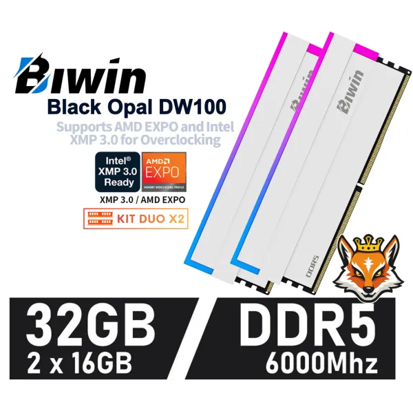 Biwin Black Opal DW100 WHITE RGB KIT 32GB DDR5 a 6000MHz CL30 1.35V XMP (2x16GB)