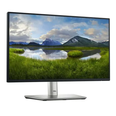 Monitor Dell P2225H 21.5" LED IPS FullHD 100Hz Monitor Dell P2225H 21.5" LED IPS FullHD 100Hz