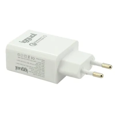 Iggual Cargador Doble USB Quickcharge 3.0 + Tipo-C PD 20W