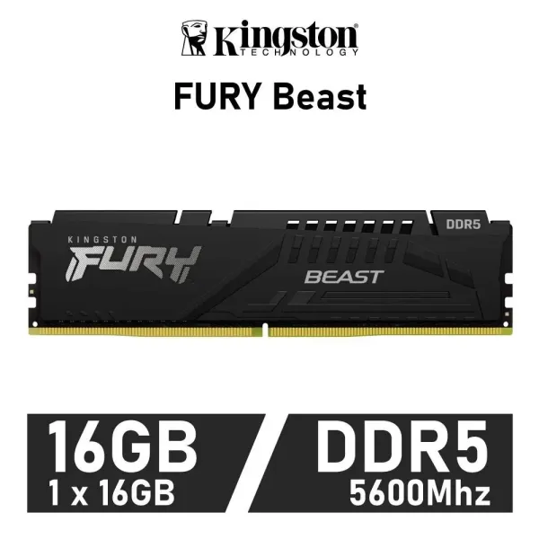Kingston FURY Beast DDR5 5600MHz 16GB CL40