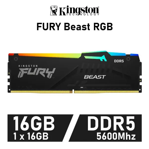Kingston FURY Beast RGB DDR5 5600MHz 16GB CL 40
