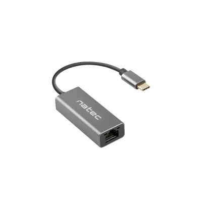 NATEC Cricket USB 3.2 Gen 1 (3.1 Gen 1) Type-C Gris NATEC Cricket USB 3.2 Gen 1 (3.1 Gen 1) Type-C Gris