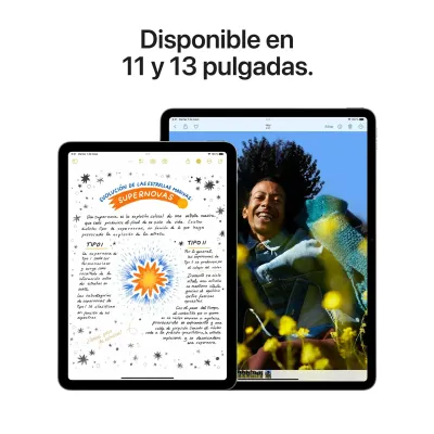 Apple iPad Air 2024 11' 1TB M2 Wifi+Cellular 5G Blanco Estrella