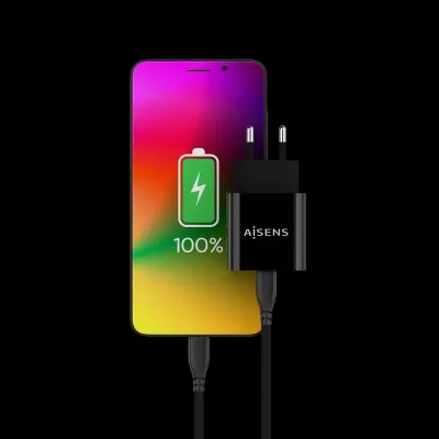 Aisens A110-0538 Cargador de Pared USB-C PD3.0 20W