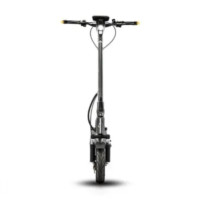 SmartGyro K2 Patinete Eléctrico 800W 25Km/h Titán