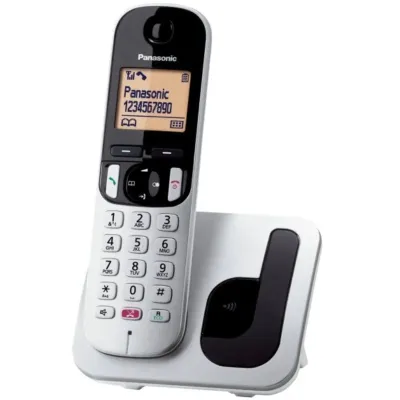 Panasonic KX-TGC250SPS Teléfono Inalámbrico Plata