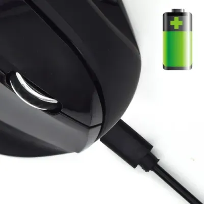Ewent EW3158 Ratón Ergonómico Inalámbrico Negro Ewent EW3158 Ratón Ergonómico Inalámbrico Negro