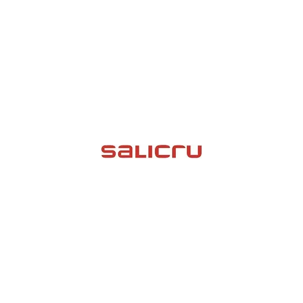 Salicru tarjeta snmp interna