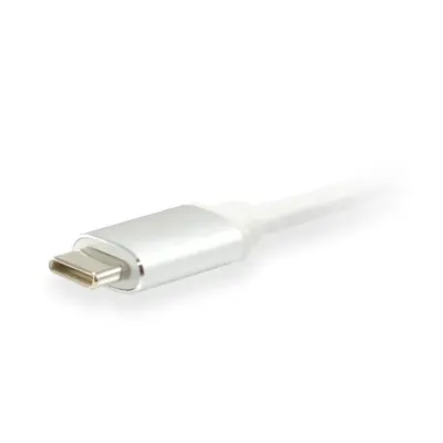 Equip Cable USB Tipo C Macho a DisplayPort Hembra 15cm Plata