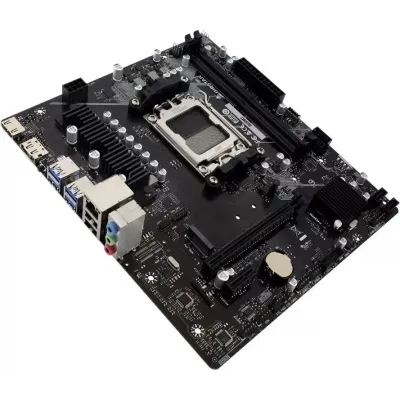 Biostar B650MT