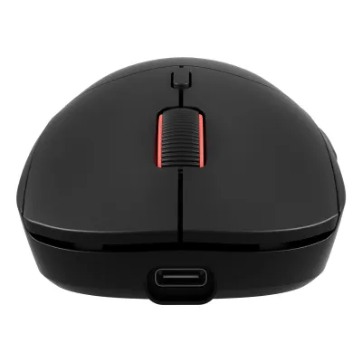 GENESIS Zircon XIII ratón Juego Ambidextro RF Wireless + USB