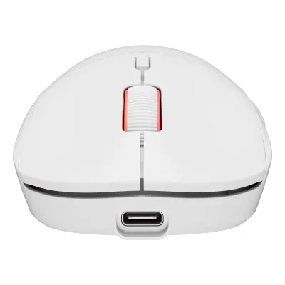 GENESIS Zircon XIII ratón Juego Ambidextro RF Wireless + USB