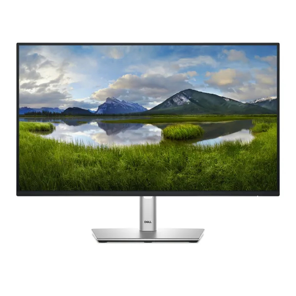 Monitor Dell P2425HE 24" LED IPS FullHD 100Hz USB-C