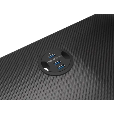 GENESIS Holm 300 RGB Negro GENESIS Holm 300 RGB Negro