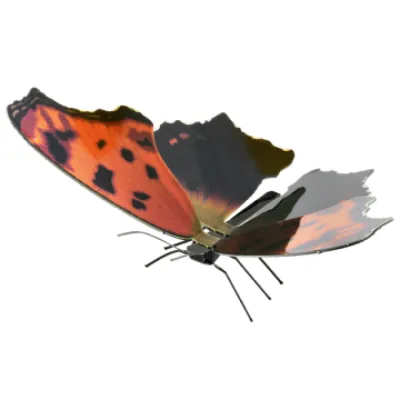 Maqueta 3d Metal Fascinations Eastern Comma Montaje Sin Maqueta 3d Metal Fascinations Eastern Comma Montaje Sin