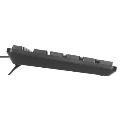 Targus AKM622ES teclado Ratón incluido Universal USB QWERTY Targus AKM622ES teclado Ratón incluido Universal USB QWERTY