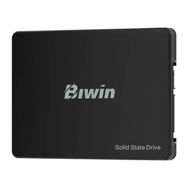 Disco Duro Biwin M100 256GB Disco SSD SATA3 550MB/s