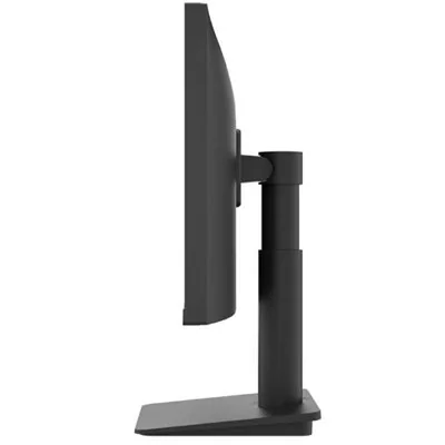 Monitor LG 25MS550-B 24.5" LED IPS FullHD 100Hz Altavoces Monitor LG 25MS550-B 24.5" LED IPS FullHD 100Hz Altavoces