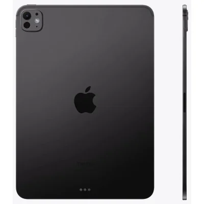 Apple iPad Pro 11' 2024 M4 2TB Wi-Fi Negro Espacial
