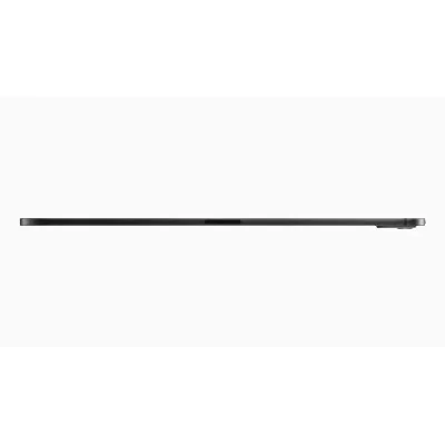 Apple iPad Pro 11' 2024 M4 2TB Wi-Fi Negro Espacial