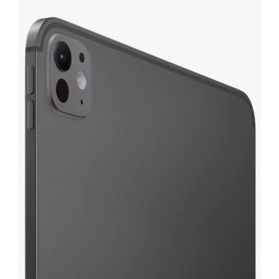 Apple iPad Pro 11' 2024 M4 2TB Wi-Fi Negro Espacial