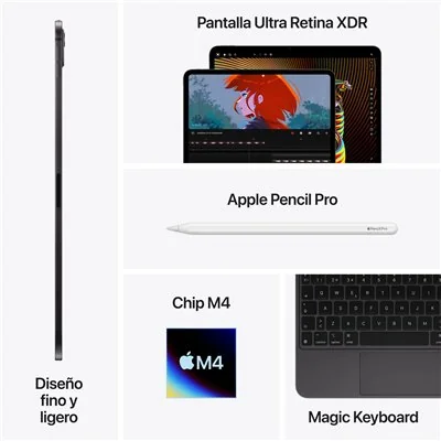 Apple iPad Pro 11' 2024 M4 2TB Wi-Fi Negro Espacial