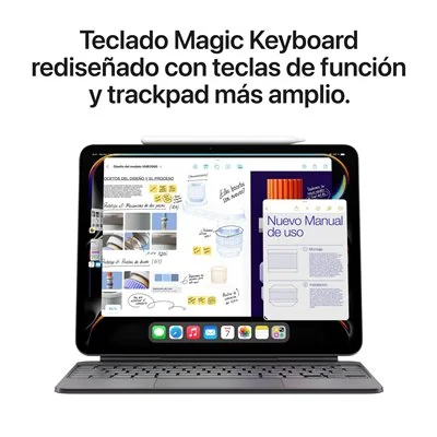 Apple iPad Pro 11' 2024 M4 2TB Wi-Fi Negro Espacial