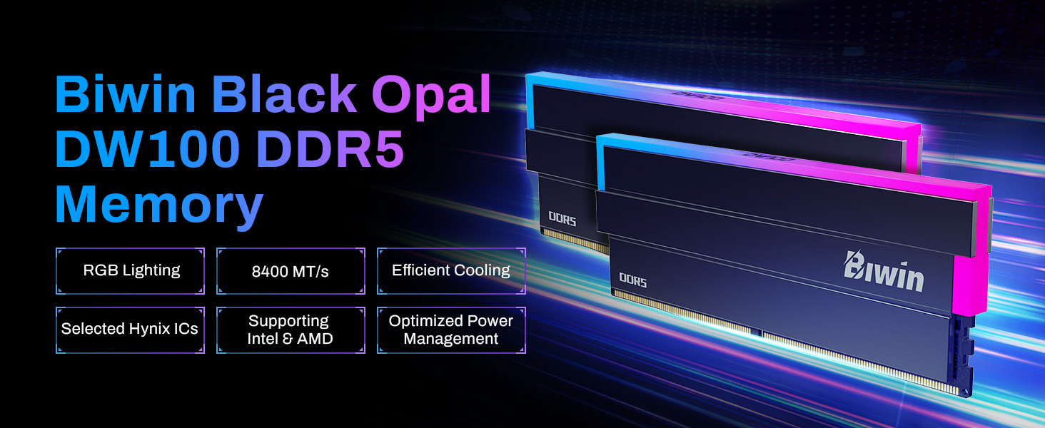 Memoria RAM Biwin Black Opal DW100 DDR5 RGB